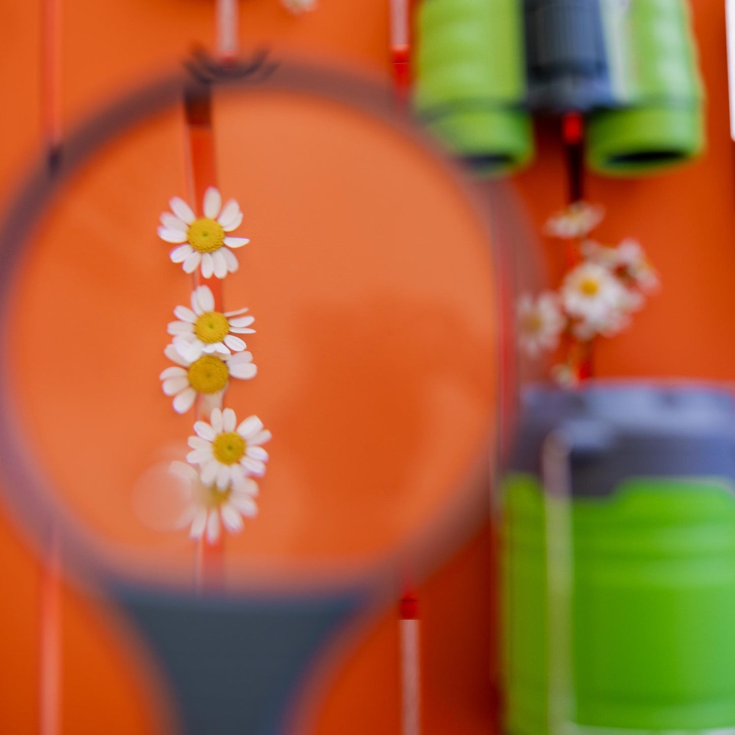 Terra Kids Magnifying Glass