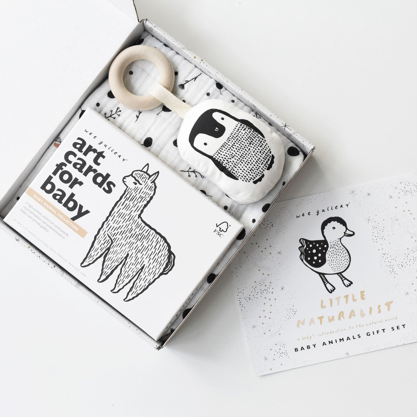 Little Naturalist Gift Set - Baby Animals