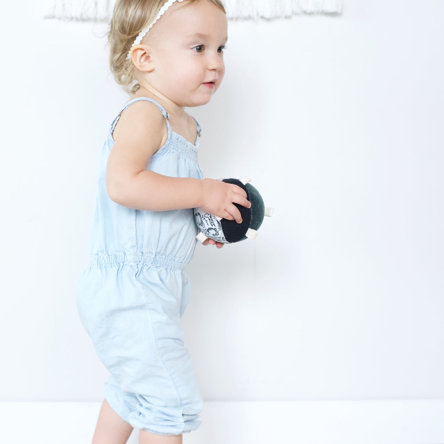 Taggy Ball With Rattle - Wild