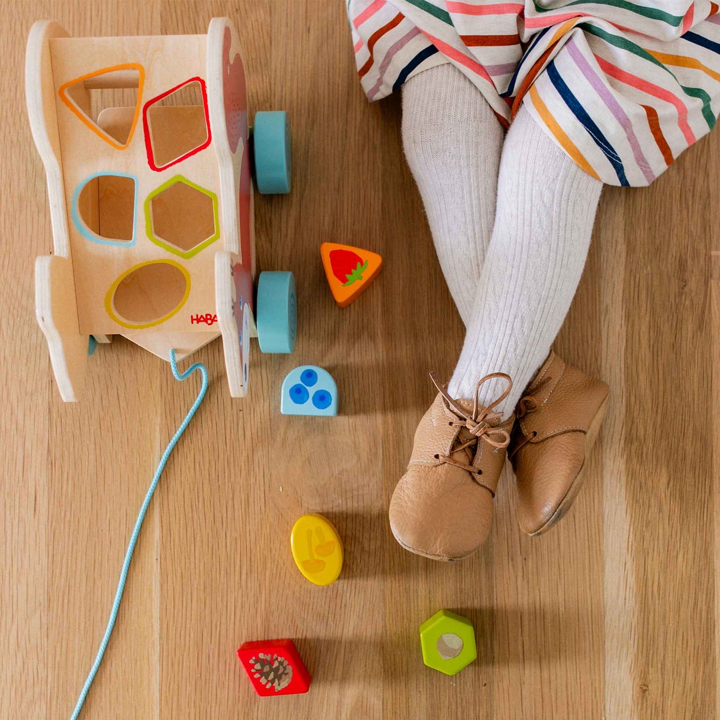 Squirrel Pull Along Toy Sorting Box