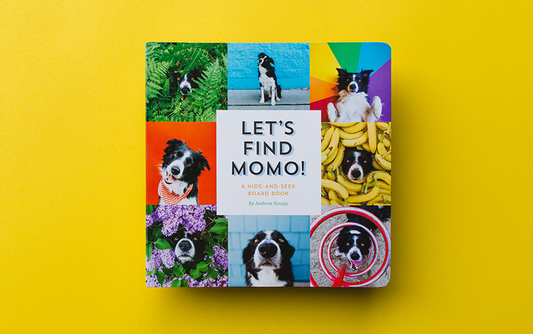 Let's Find Momo Book